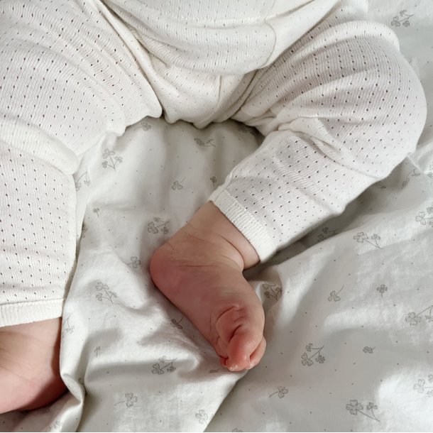Serendipity Baby Leggings Pointelle - Offwhite